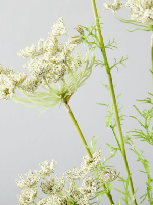 Faux Queen Anne's Lace Plant Stem