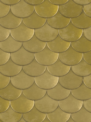 Brass Belly Self Adhesive Wallpaper In Old World Brass Metallic By Genevieve Gorder For Tempaper