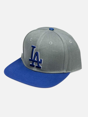 Pro Standard Mlb Los Angeles Dodgers Logo Snapback