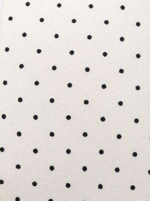 Dolce & Gabbana Polka Dot Tie