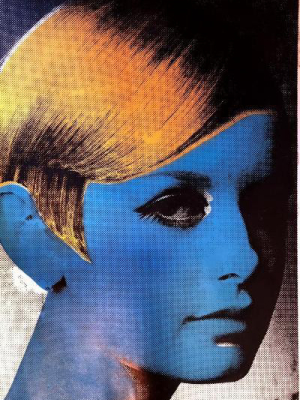 Twiggy - 5