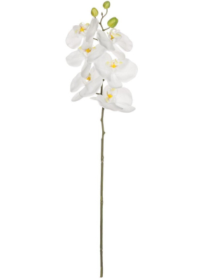 Sullivans Artificial Phalaenopsis Orchid Stem