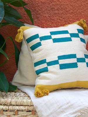 Echo Throw Pillow Cover