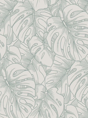 Balboa Botanical Wallpaper In Olive From The Scott Living Collection By Brewster Home Fashions