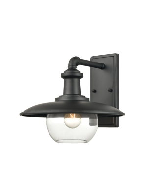 Jackson 1-light Large Outdoor Sconce In Matte Black With Clear Glass