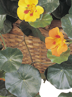 29" X 22" Artificial Nasturtium In Hanging Basket Yellow - Nearly Natural