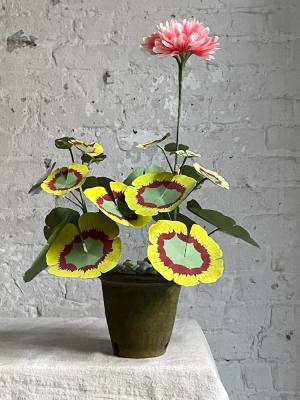 The Green Vase Potted Geranium