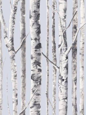 Birch Wallpaper In Periwinkle And Grey From The Solaris Collection By Mayflower Wallpaper