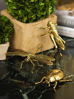 Decorative Gold Dragonfly