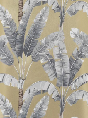 Palmaria Wallpaper In Beige And Gray From The Manarola Collection By Osborne & Little