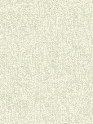 Sweet Birch Wallpaper In Ivory And Metallic From The Terrain Collection By Candice Olson For York Wallcoverings