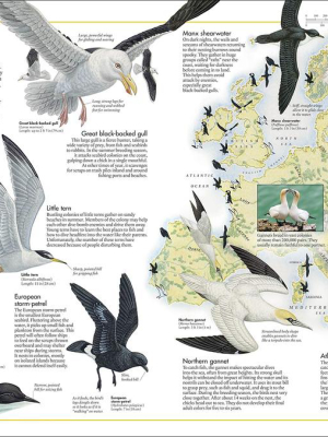 The Bird Atlas