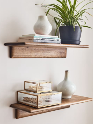 Anton Shelves