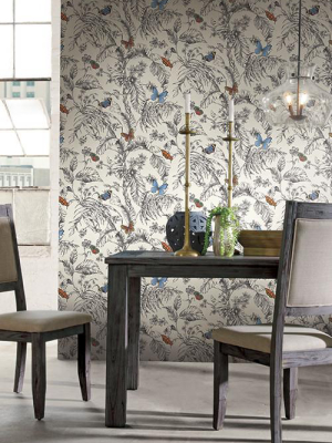 Papillon Wallpaper In Black And White By Ashford House For York Wallcoverings