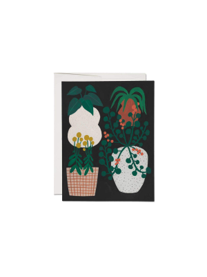 Red Cap Cards - Indoor Plants