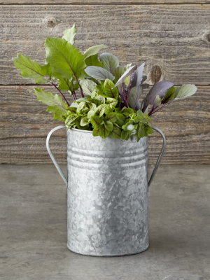 Galvanized Planters