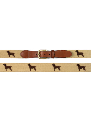 Boykin Needlepoint Belt