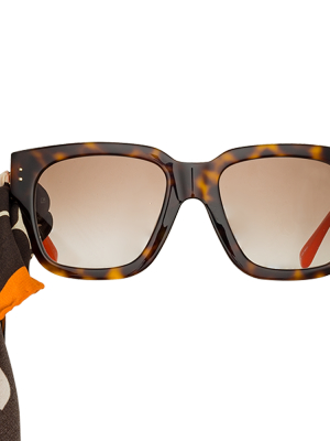 Amber D-frame Sunglasses In Tortoiseshell