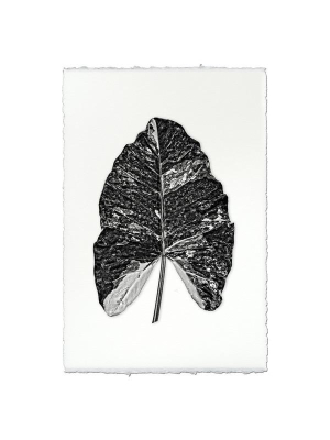 Leaf "arrowhead" Print