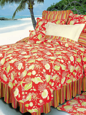 C&f Home 20" X 26" Coral Shells Standard Sham