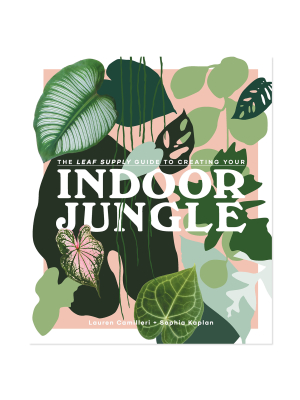 The Leaf Supply Guide To Creating Your Indoor Jungle