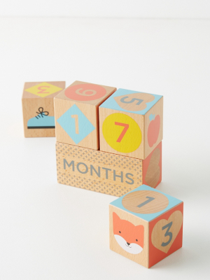 Milestone Baby Blocks