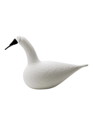 Birds By Toikka Whooper Swan
