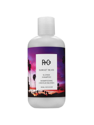 Sunset Blvd Daily Blonde Shampoo