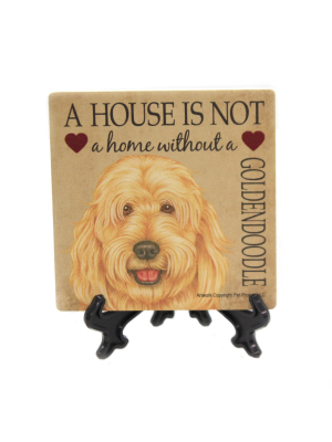 Animal 4.0" Goldendoodle Cork Back Coaster Easel Sjt Enterprises - Coasters