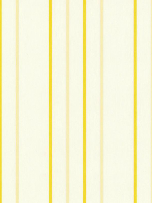 Narrow Stripes Wallpaper In Yellow Design By Bd Wall