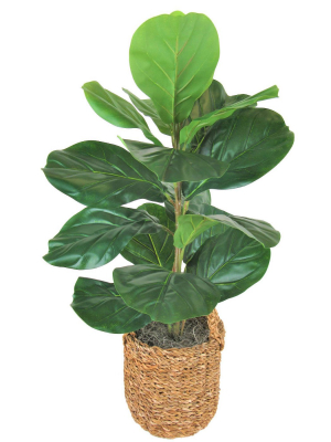 30" X 16" Artificial Fig Plant In Basket With Handles - Lcg Florals