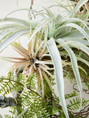 Faux Tillandsia On Branch