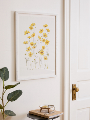 Jessica Hanselmann Yellow Cosmos Flowers Art Print