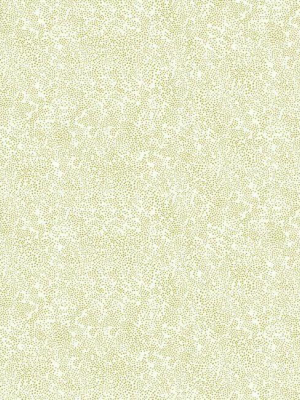 Champagne Dots Wallpaper In Gold And White From The Rifle Paper Co. Collection By York Wallcoverings