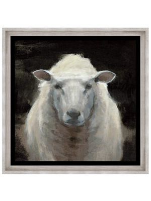 Portrait Of A Sheep Ii Framed