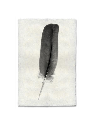 Feather #4 Print