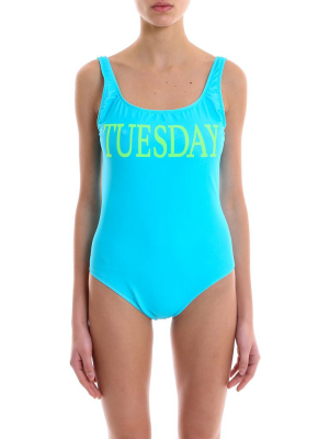 Alberta Ferretti Tuesday Print One-piece Swimsuit