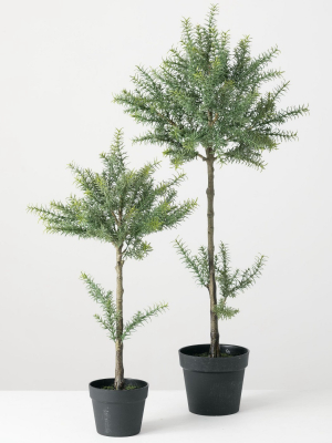 Sullivans Artificial Set Of 2 Potted Rosemary 43"h & 32"h Green