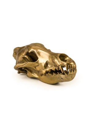 Wolf Skull