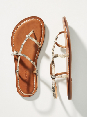 Bernardo Lexi Snake Sandals