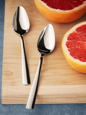 Williams Sonoma Grapefruit Spoons, Set Of 2