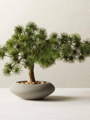 Potted Faux Japanese Bonsai 10.5"