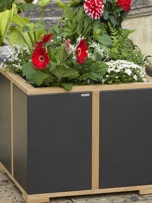 Aura Square Planter