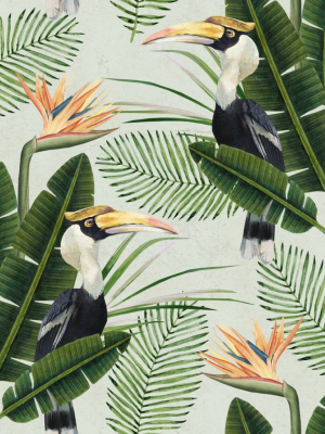 Birds Of Paradise Wallpaper In Green And Orange From The Tropical Vibes Collection By Mind The Gap