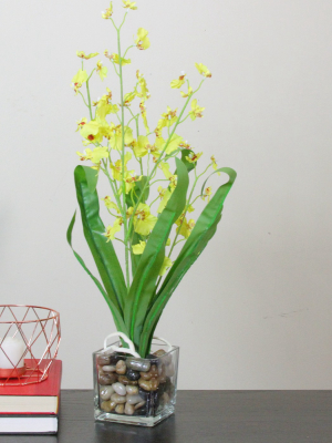 Northlight 23.5" Dancing Lady Orchid Silk Flower Artificial Potted Plant - Yellow