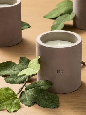 9.3oz Cement Candle Fig - Hearth & Hand™ With Magnolia