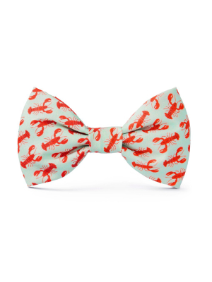 Catch Of The Day Dog Bow Tie