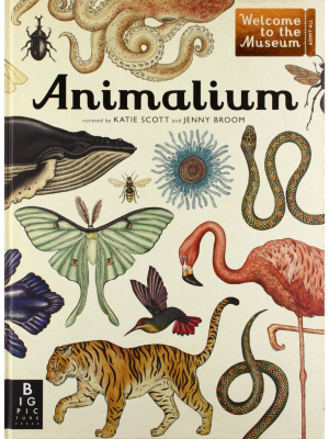 Animalium Book