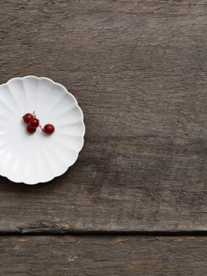 Chrysanthemum Plate - Small