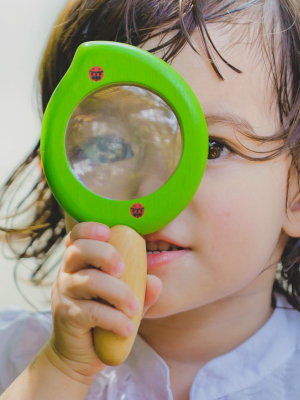 Leaf Magnifier